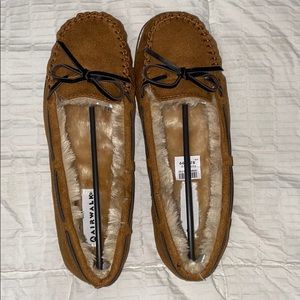 Brand New Airwalk Slippers